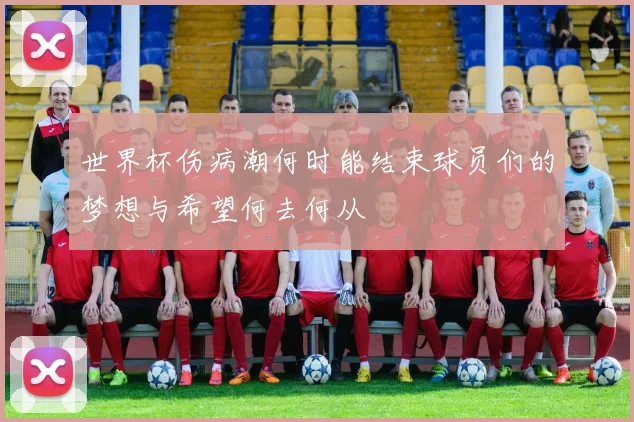 世界杯伤病潮何时能结束球员们的梦想与希望何去何从