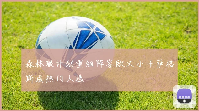 森林狼计划重组阵容欧文小卡萨格斯成热门人选