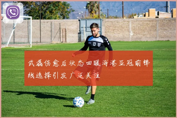 武磊伤愈后状态回暖海港亚冠前锋线选择引发广泛关注