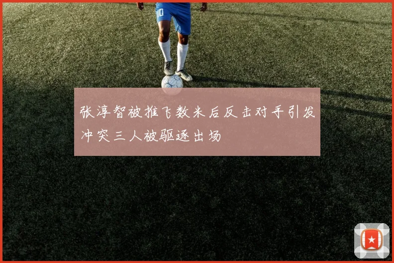 张淳智被推飞数米后反击对手引发冲突三人被驱逐出场
